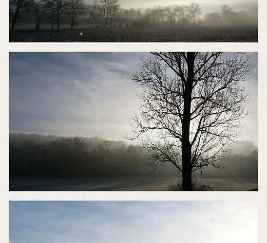 بيت للعطل Bien Etre *